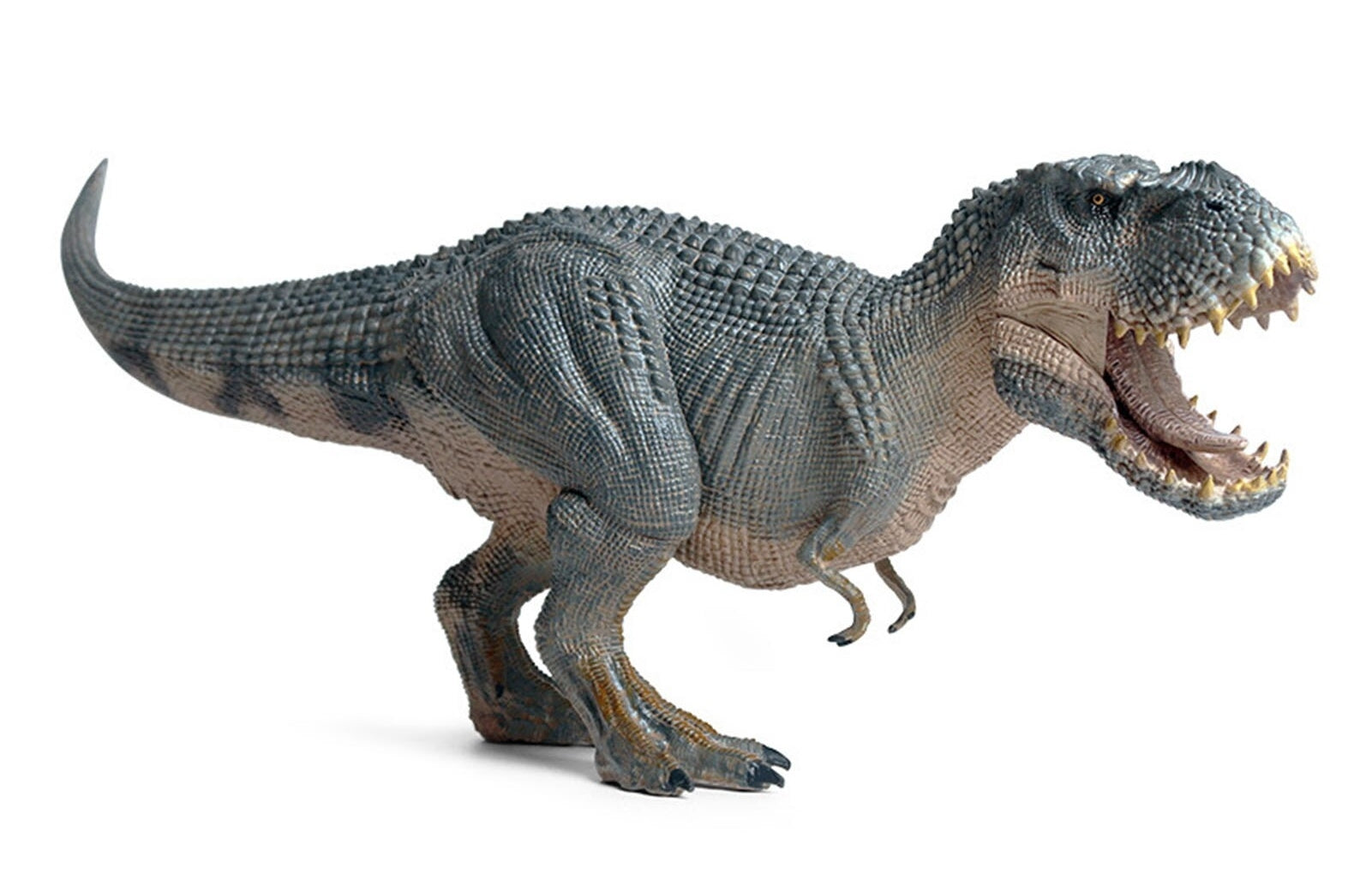 PVC Model Toys & Action Figures