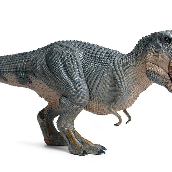 PVC Model Toys & Action Figures