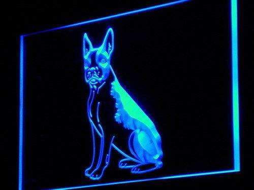 Boston Terrier Dog LED Light Sign - Way Up Gifts