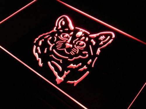 Somali Cat LED Light Sign - Way Up Gifts