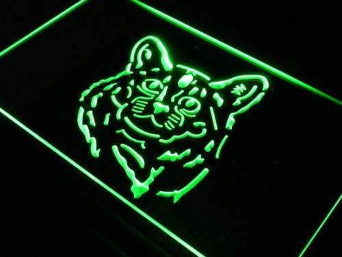 Somali Cat LED Light Sign - Way Up Gifts