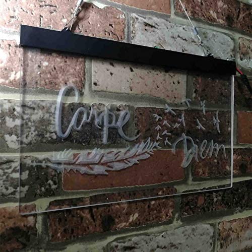 Carpe Diem Seize The Day LED Light Sign - Way Up Gifts