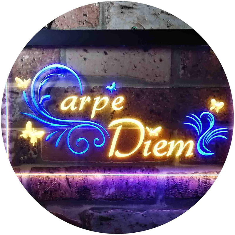 Carpe Diem Seize The Day Bedroom Quote LED Light Sign - LED Gift Works