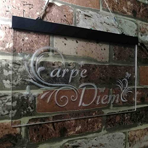 Carpe Diem Seize The Day Bedroom Quote LED Light Sign - LED Gift Works
