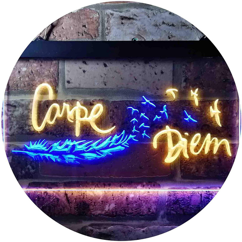 Carpe Diem Seize The Day LED Light Sign - LED Gift Works