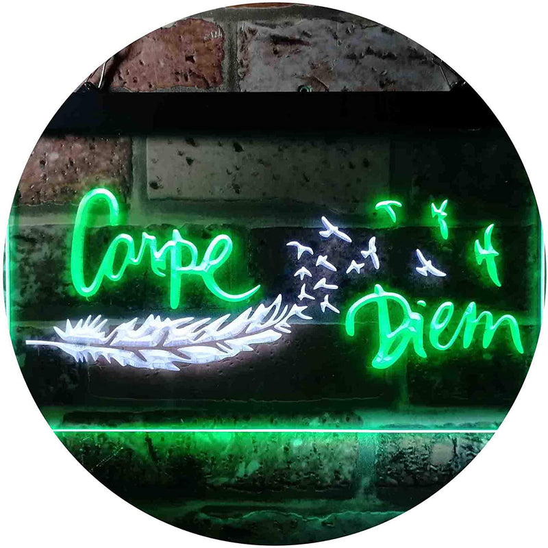 Carpe Diem Seize The Day LED Light Sign - LED Gift Works