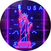 USA Statue of Liberty LED Light Sign - Way Up Gifts