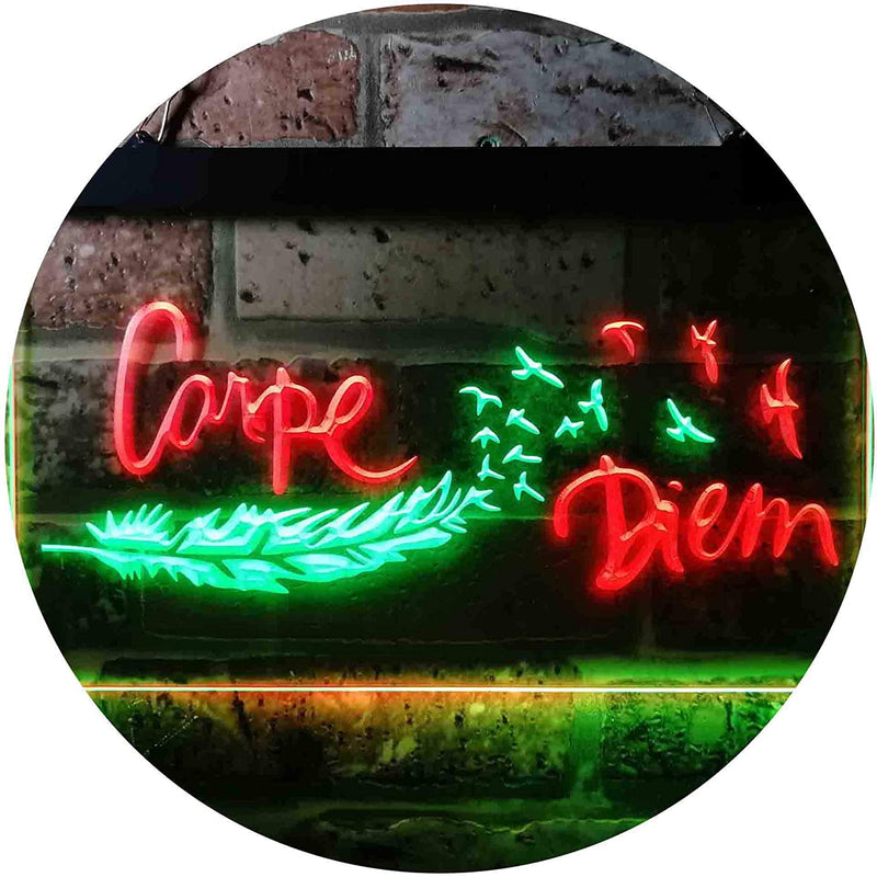 Carpe Diem Seize The Day LED Light Sign - LED Gift Works