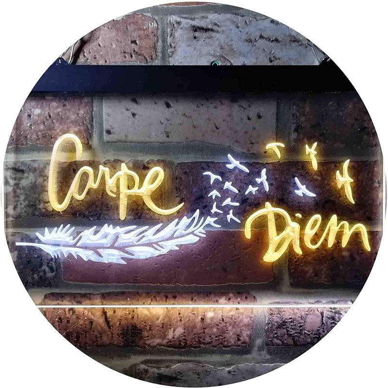 Carpe Diem Seize The Day LED Light Sign - LED Gift Works