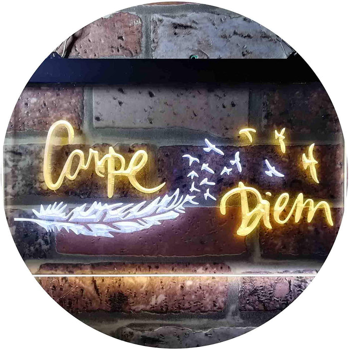 Carpe Diem Seize The Day LED Light Sign - Way Up Gifts