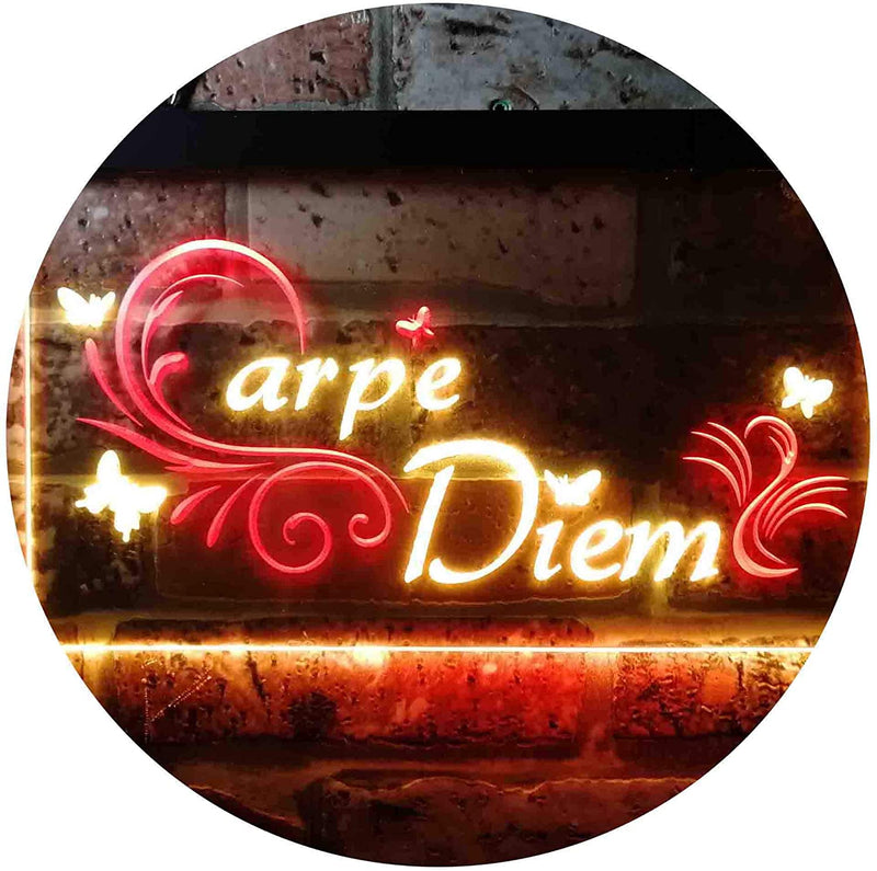 Carpe Diem Seize The Day Bedroom Quote LED Light Sign - LED Gift Works