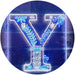 Family Name Letter Y Monogram Initial LED Light Sign - Way Up Gifts