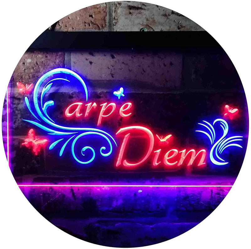 Carpe Diem Seize The Day Bedroom Quote LED Light Sign - LED Gift Works