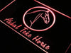Akhal Teke Horse LED Light Sign - Way Up Gifts