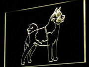 Akita Dog LED Light Sign - LED Gift Works