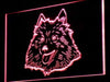 American Eskimo Dog LED Light Sign - Way Up Gifts