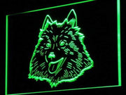 American Eskimo Dog LED Light Sign - LED Gift Works
