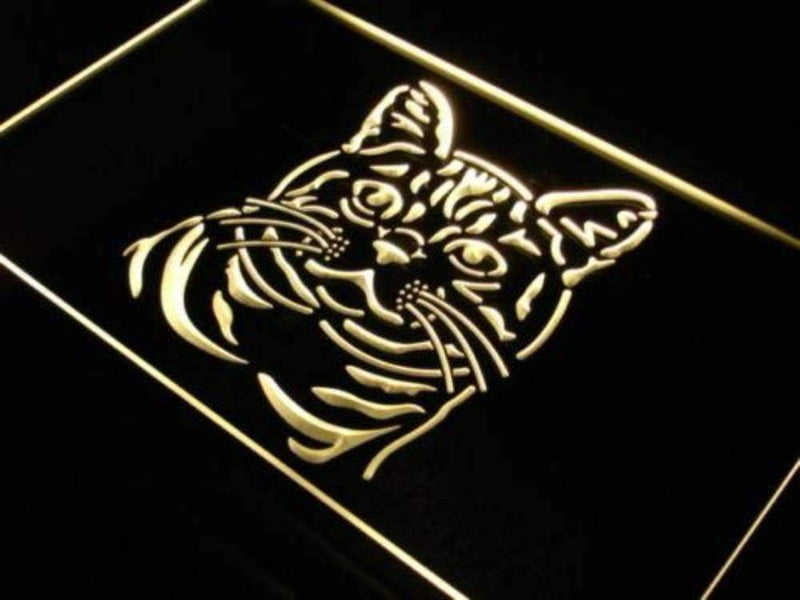American Shorthair Cat LED Light Sign - LED Gift Works