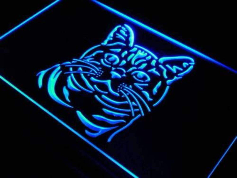 American Shorthair Cat LED Light Sign - LED Gift Works
