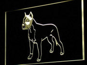 American Staffordshire Terrier LED Light Sign - LED Gift Works