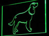 American Water Spaniel LED Light Sign - Way Up Gifts