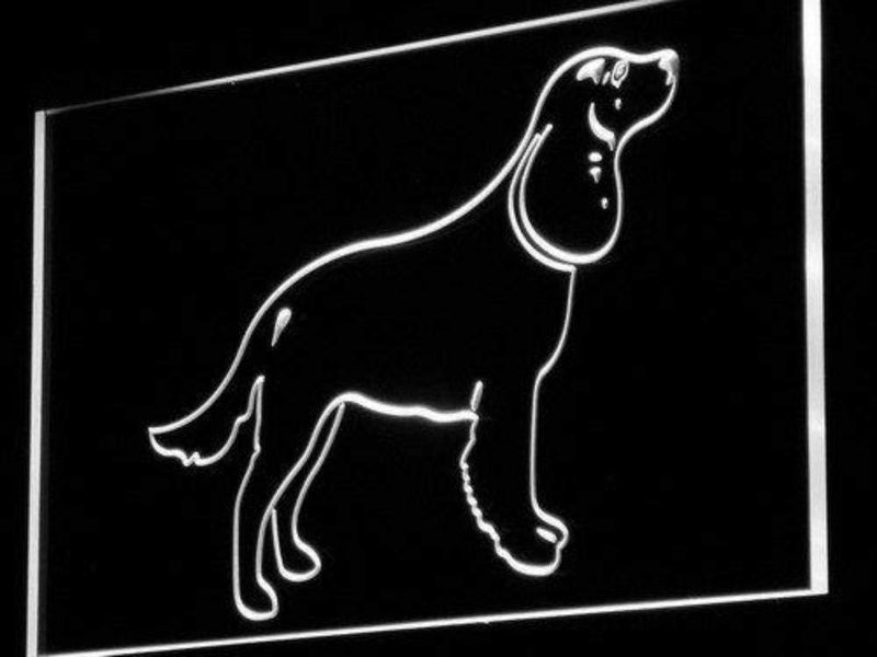American Water Spaniel LED Light Sign - LED Gift Works