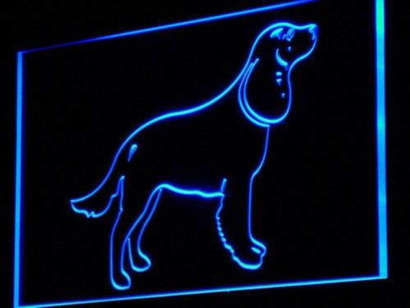 American Water Spaniel LED Light Sign - LED Gift Works