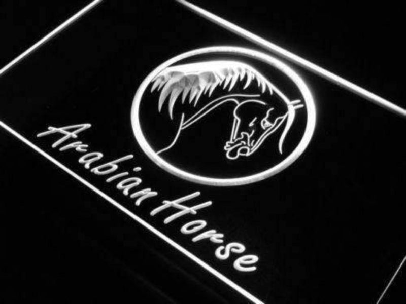 Arabian Horse LED Light Sign - LED Gift Works