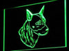 Australian Cattle Dog LED Light Sign - Way Up Gifts