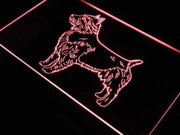 Australian Terrier LED Light Sign - LED Gift Works