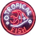 Pet Store Tropical Fish LED Light Sign - Way Up Gifts