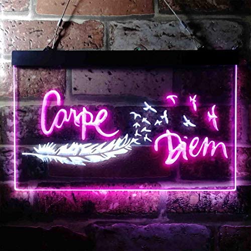 Carpe Diem Seize The Day LED Light Sign - Way Up Gifts