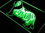 Bearded Collie LED Light Sign - LED Gift Works
