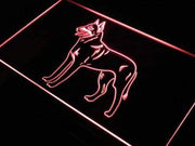 Belgian Malinois Dog LED Light Sign - LED Gift Works