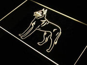 Belgian Malinois Dog LED Light Sign - LED Gift Works