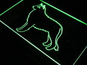 Belgian Sheepdog LED Light Sign - LED Gift Works