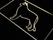 Belgian Sheepdog LED Light Sign - LED Gift Works