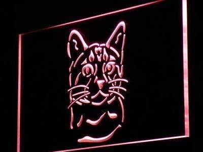 Bengal Cat LED Light Sign - LED Gift Works