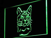 Bengal Cat LED Light Sign - LED Gift Works