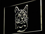 Bengal Cat LED Light Sign - LED Gift Works