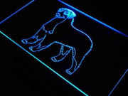 Bernese Mountain Dog LED Light Sign - LED Gift Works