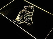 Bi Black Sheltie LED Light Sign - LED Gift Works