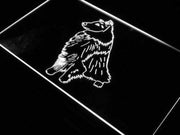 Bi Black Sheltie LED Light Sign - LED Gift Works