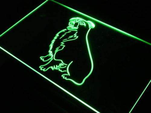 Border Collie LED Light Sign - LED Gift Works
