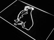 Border Collie LED Light Sign - LED Gift Works