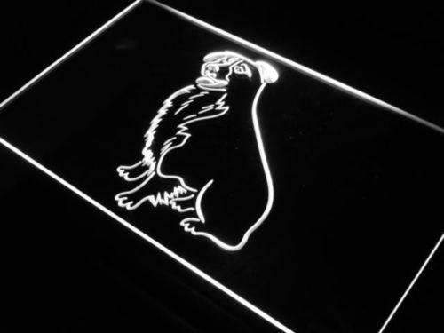 Border Collie LED Light Sign - LED Gift Works