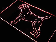 Border Terrier LED Light Sign - LED Gift Works