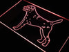 Border Terrier LED Light Sign - Way Up Gifts