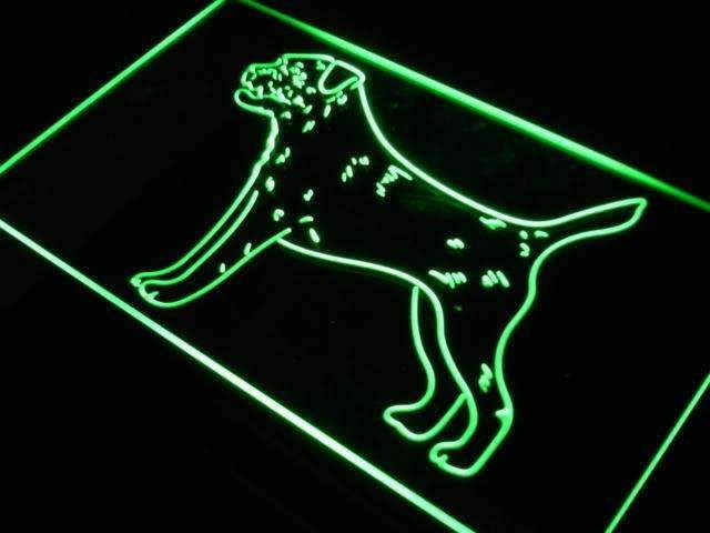Border Terrier LED Light Sign - Way Up Gifts