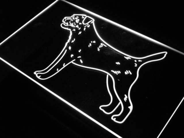 Border Terrier LED Light Sign - LED Gift Works